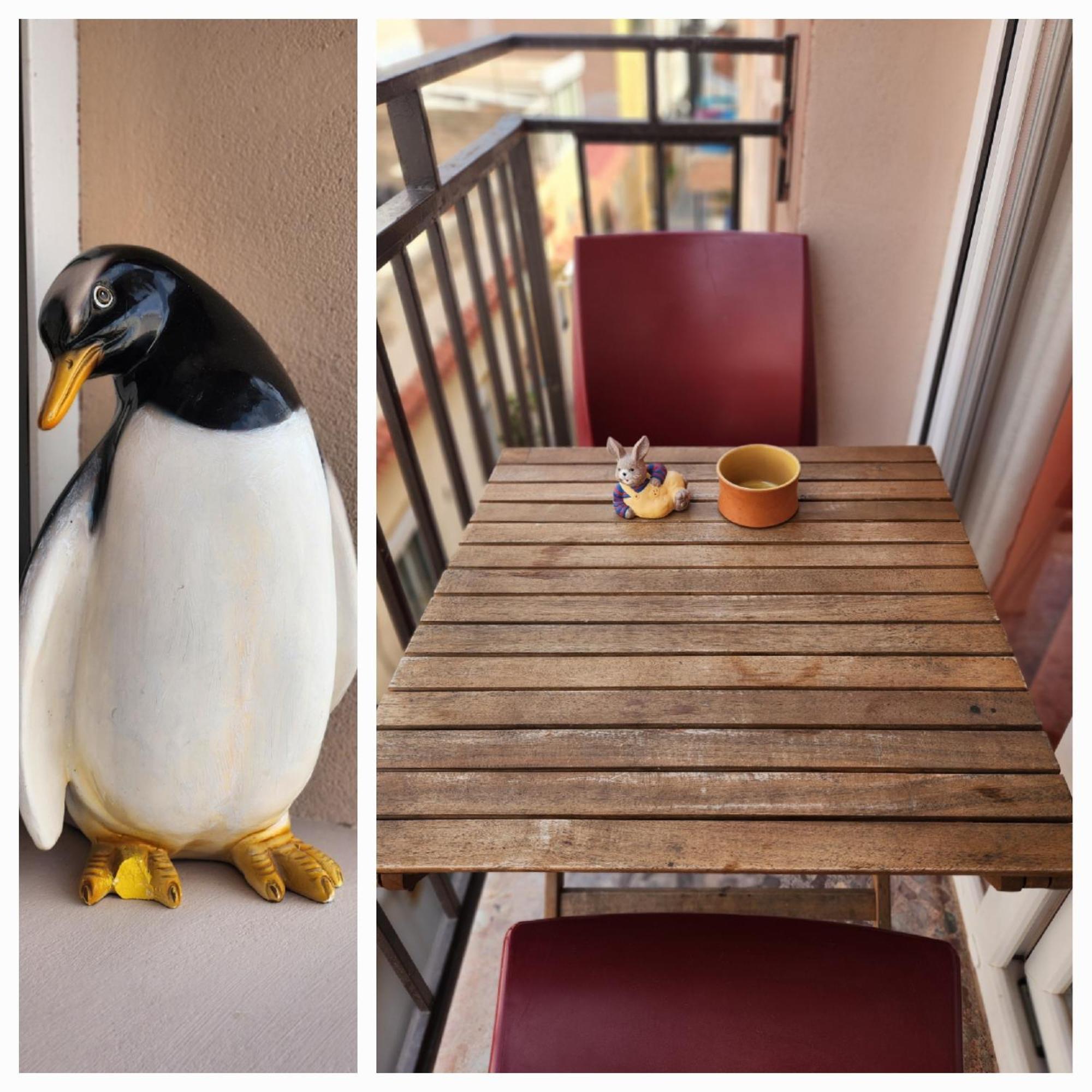 Apartamentos Belladorm Benidorm Bagian luar foto